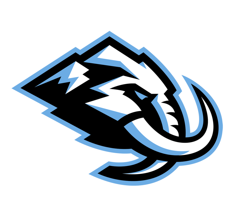 TEAM SELECT #7639 // FAST BREAK 1X BLACK DIAMOND 23-24