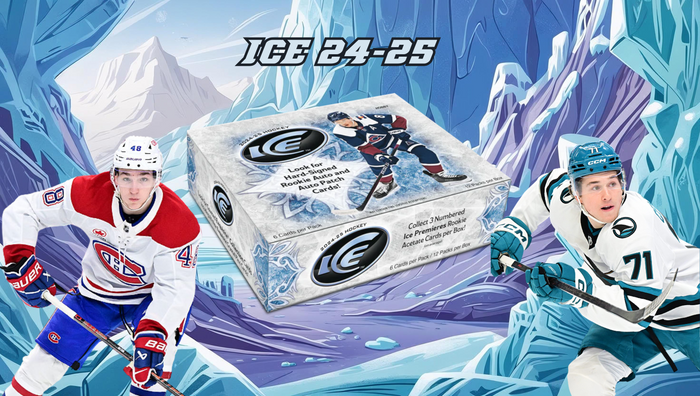 2024-25 ICE