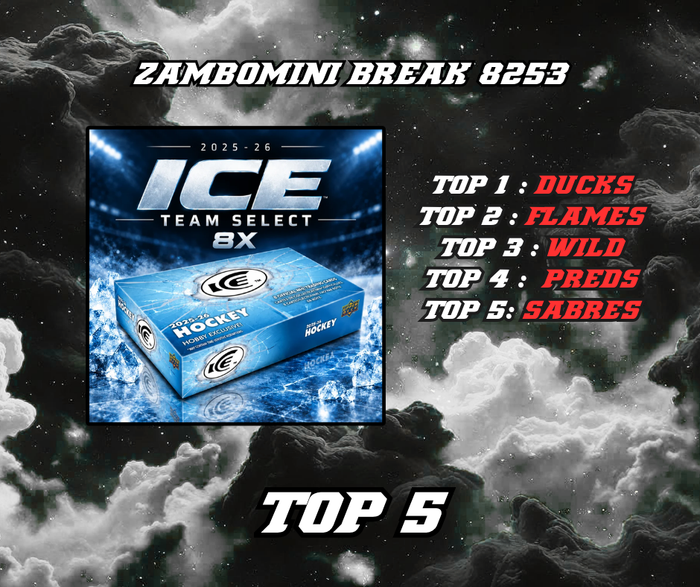 ZAMBOMINI BREAK 8253 TOP 5 (8X ICE 25-26)