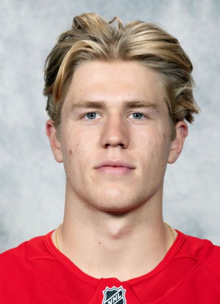 Michael Brandsegg-Nygard